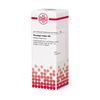 Plantago major D6 DHU Dilution, 20 ml Lösung