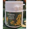 Power-Plus GINSENG Capsules Supplement (12 Bottles/BOX).T