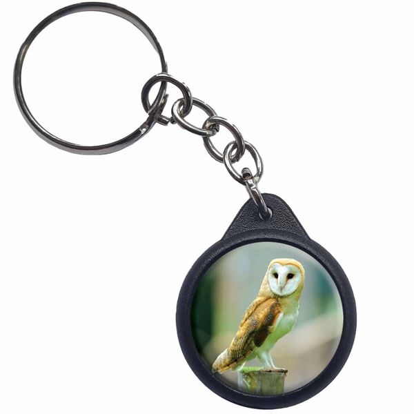 Ozorath Barn Owl Keyring Keychain Key Ring Chain With Trolley Coin
