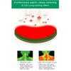 SHUWRWB Moxibustion Patch(Shoulder Patch 12patches per Bag)|Wormwood Patch|Moxa Patch| self-Heating Mugwort Sticker