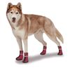 Zack & Zoey ThermaPet Neoprene Boots, Blue, Large
