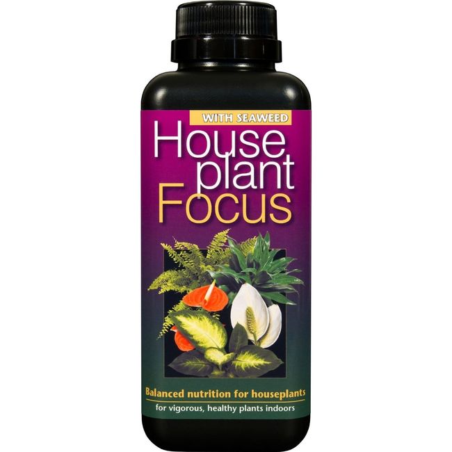 houseplant focus 300ml growth technology