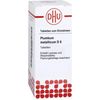 PLUMBUM METALLICUM D 6 Tablets Pack of 80