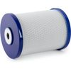 High Purity Coconut Shell Activated Carbon Water Filter - 750 GPD Life Span - 0.