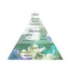 Aiam Chapter 9 Body Cream, 7.1 oz (200 g), Body Care, Skin Care, Moisturizing, Moisturizing