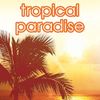 Suave Tropical Paradise Invisible Solid Deodorant 12 Pack 2.6 Ounce 48 Hour P...