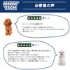 Single Detangler Comb for Long-Haired Animals