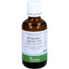 Pflügerplex Senecio 134 Tropfen, 50 ml TRO