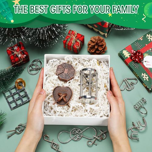 Seenelling 25 Pcs Brain Teaser Puzzles Metal Cast 3D Unlock Interlocking Puzzles Gift IQ Educational Smart Puzzle Toys for Adult Puzzles