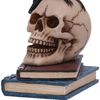 Nemesis Now Raven's Spell 10.3cm, Black
