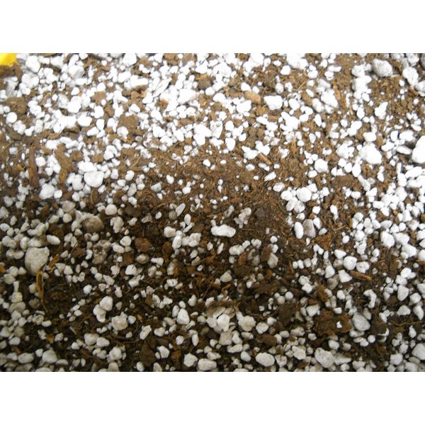 Organic Succulent Cactus Sphagnum Peat Moss/Perlite 50/50---5 CUPS
