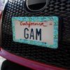 GRAPHICS & MORE Fishing Flies Lures Fish Pattern License Plate Tag Frame
