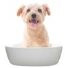 Cambrian Yang Pyrethrum Pet Bathing Agent doggubasu Powder Type 14 Bao Rosemary