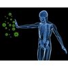 STEM CELL Enhancer 500mg - Organic Blue Green Algae - Anti Aging - 3 Bottles