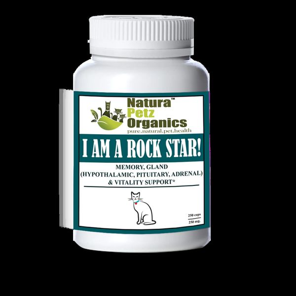 I Am A Rock Star - Memory, Gland (Hypothalamic, Pituitary), CAT, 250 mg