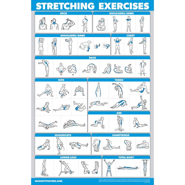 QuickFit Stretching Workout Exercise Poster - Stretch Routine (Laminated, 18in x 27in) for Playroom