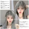 Hawkko Wig, Long, Straight, Full Wig, Natural, Cosplay, Women's Wig, Small Face, Popular, Heat Resistant, Harajuku Style, Fashion, Net Included (Silver Gray)