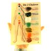 The 7 Chakra Set with Instructions [may not be in English], M11