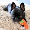 Midlee Plush Carrot Easter Dog Toy- Pack of 2