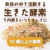 Dog Cat No Additives Enzyme and Apples Supplements (Diet Set)