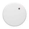Bitcoin Medieval Antique Art Small Subtle Restrained PopSockets Adhesive PopGrip