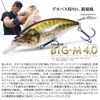 Mega Bath (Megabass) Lure Big – Medium (bigguemu) 4.0 Japanese Silver oikawa
