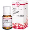 Lachnanthes tinctoria D6 DHU Tabletten, 80 St. Tabletten