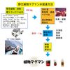 Wild Plant Mineral Water Solution 15% (High Power Magman)