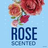 Secret Clear Gel Antiperspirant and Deodorant, Rose Scent, Single Pack, 2.6 Oz.