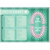 Grindstore Teeth Chart Children's Educational Mini Poster 44 x 32cm