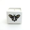 Hand poured 8 oz. soy unscented candle, Moth with gold