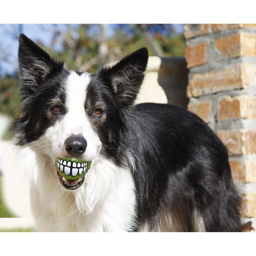 Rogz Fun Dog Treat Ball in various sizes and colors, Medium, Orange
