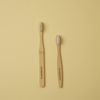 Eco-friendly 100% Vegetable Toothbrush (For Adults)