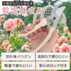 Small Lightweight Pruning Shears (High Carbon Steel)