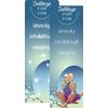 Flip Bookmark - Constellation Gemini