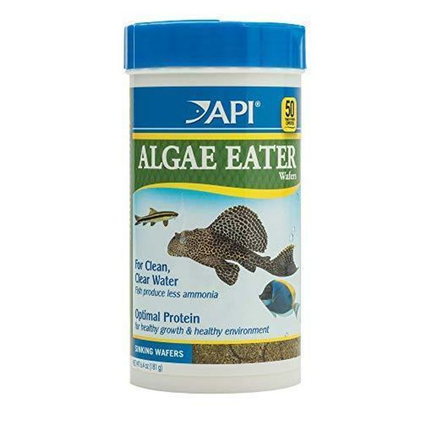 API ALGAE EATER WAFERS Algae Wafer Fish Food 6.4-Ounce Container