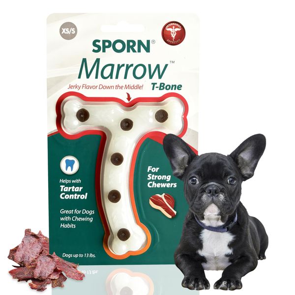 Sporn Durable T-Bone Dog Treat Toy Chew Bone for Aggressive Chewers, Jerky Flavor Small Dog Dental Chews, Nylon Interactive Dog Bone, XS/SM