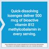 Life Extension Vitamin B12 Methylcobalamin 500mcg - Vitamin B12 Supplement for General Energy and Brain Health - Sugar Free Vegetarian Lozenges Dissolve in Your Mouth - Once Daily - 100 Count