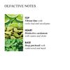 Molton Brown Lime & Patchouli Lozione Mani 300 ml
