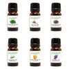 Essential Oil Gift Set - Lavender, Tea Tree, Eucalyptus, Lemongrass, Sweet Orange, Peppermint - 6/10ml