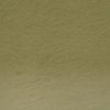Derwent TC17 Tinted Charcoal Pencil - Dark Moss