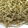 Taskar Picture Pins Hardened 25mm Panel Nails Brass Finish (100)