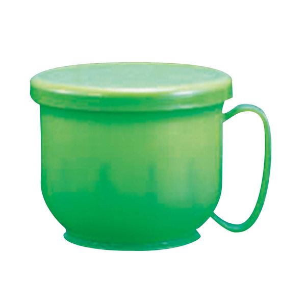 Western Denture Cleaning Storage Containers Fresh – Green