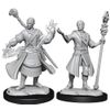 D&D Nolzur's Marvelous Miniatures: Half-Elf Wizard Male