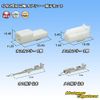 Yazaki 040 Type III 2-Pole Coupler and Terminal Set