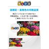 Canon BCI-351+350/5MP Compatible Ink High Yield 5 Colors Multipack Ink Chips