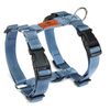 BowNya Cauda, Active Harness Blue Small