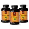 candida treatment - CANDIDA AWAY COMPLEX - candida cleanse - 3 Bottles