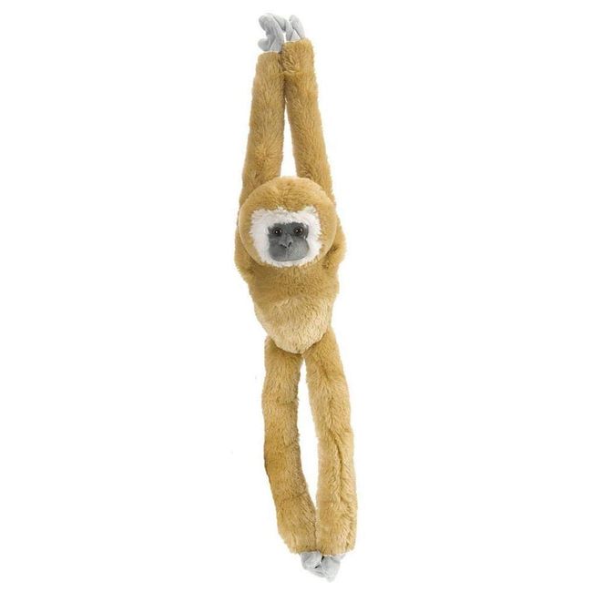 Wild Republic White Handed Gibbon Plush, Monkey Stuffed Animal, Plush Toy, Gifts for Kids, Hanging 20 Inches