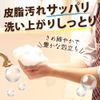 Persimmon Shibu Soap, Medicated Dad's Soap, Cachitanin, Anti-Aging Odor, Prevents Armpits, Quasi-Drug, 3.2 oz (90 g)